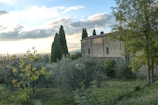 A rustic stone building with a tiled roof is surrounded by olive trees and tall cypress trees. The landscape includes grassy areas and scattered trees with a backdrop of a partly cloudy sky. The scene conveys a sense of tranquility and timeless countryside beauty.