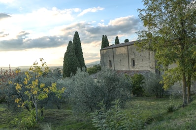 Cozy countryside villa surrounded by olive trees under a clear blue sky.