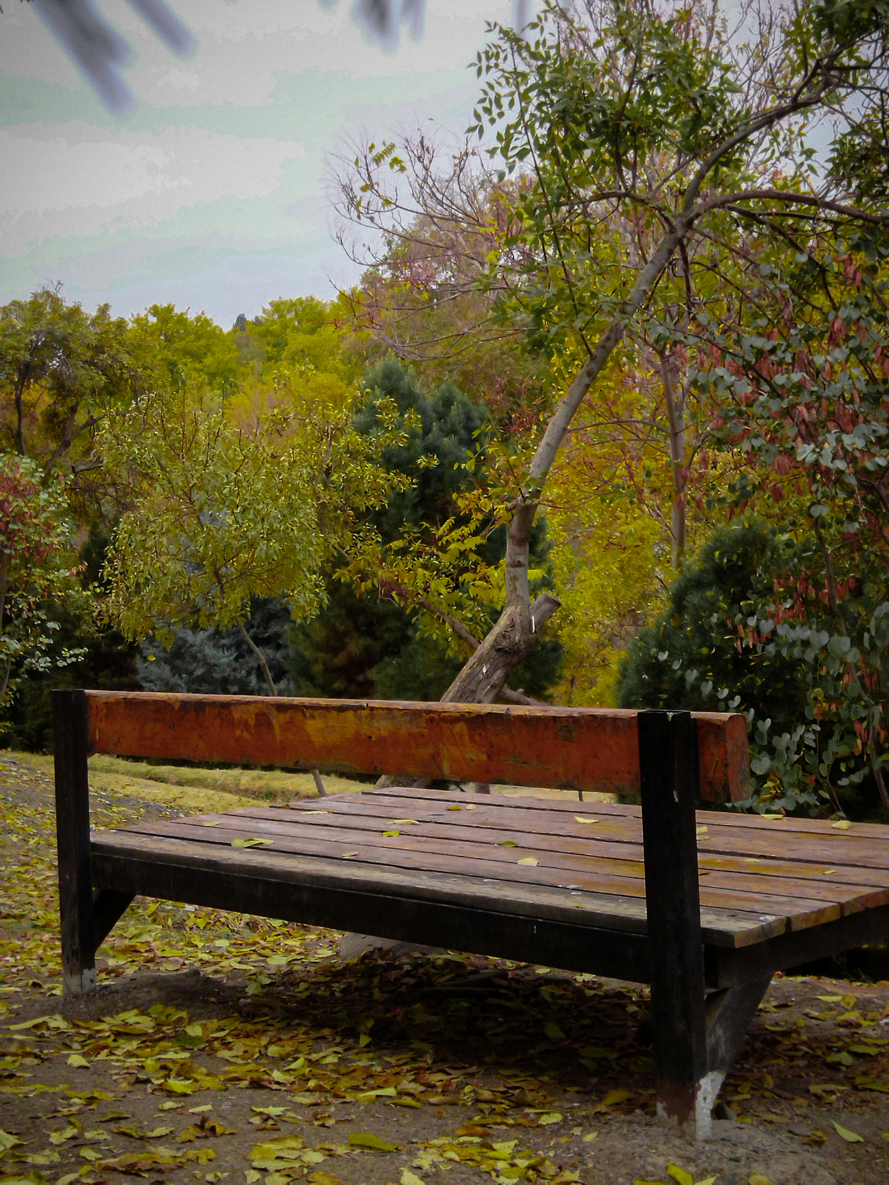 Photo by sajadnazeran_sa