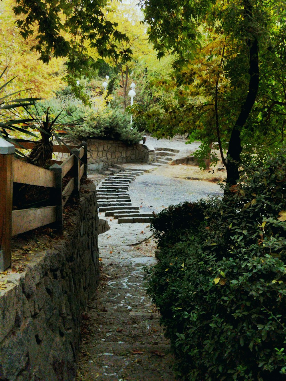 a stone path with steps leading up to trees