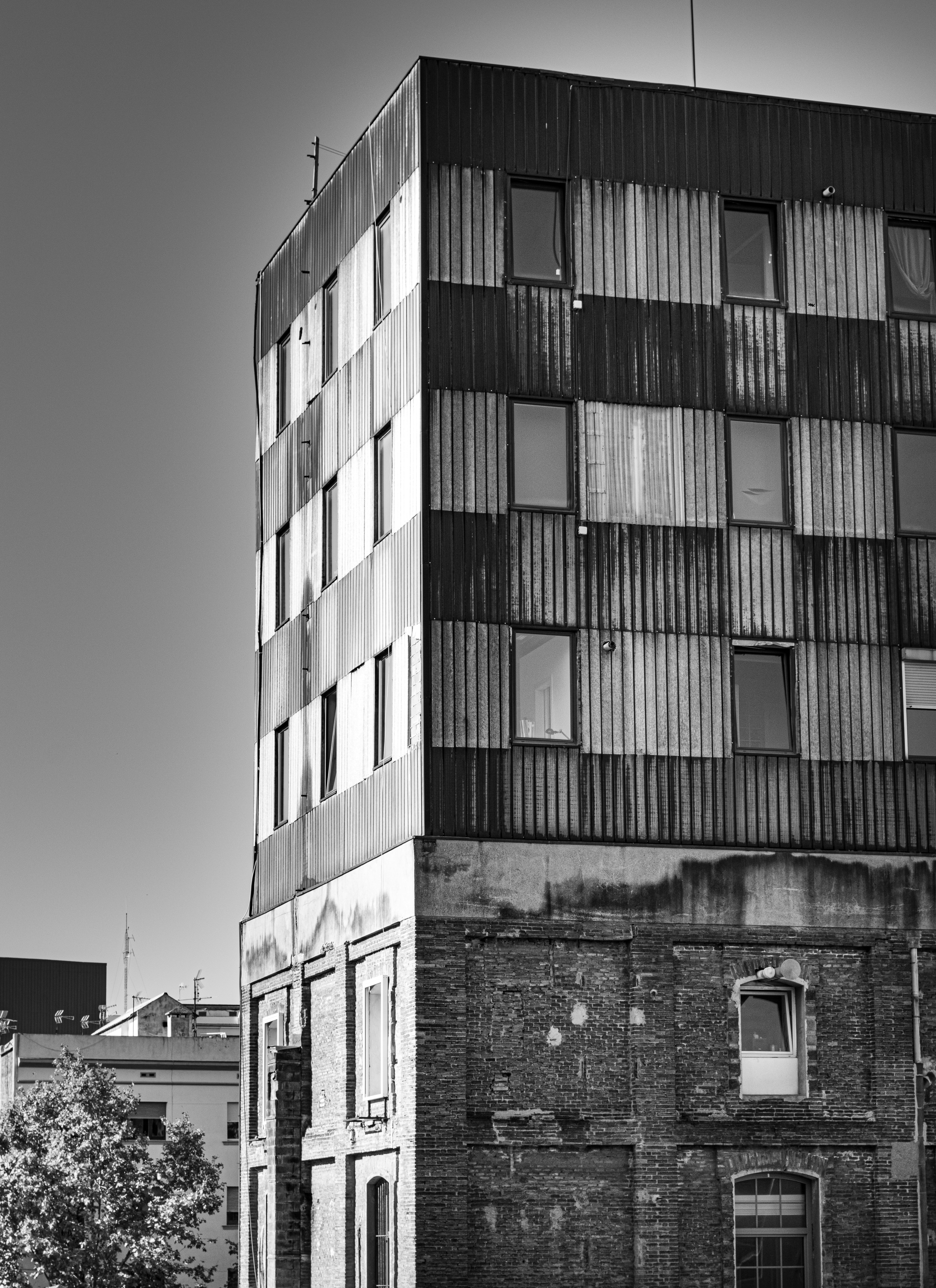 Photo by blackieshoot