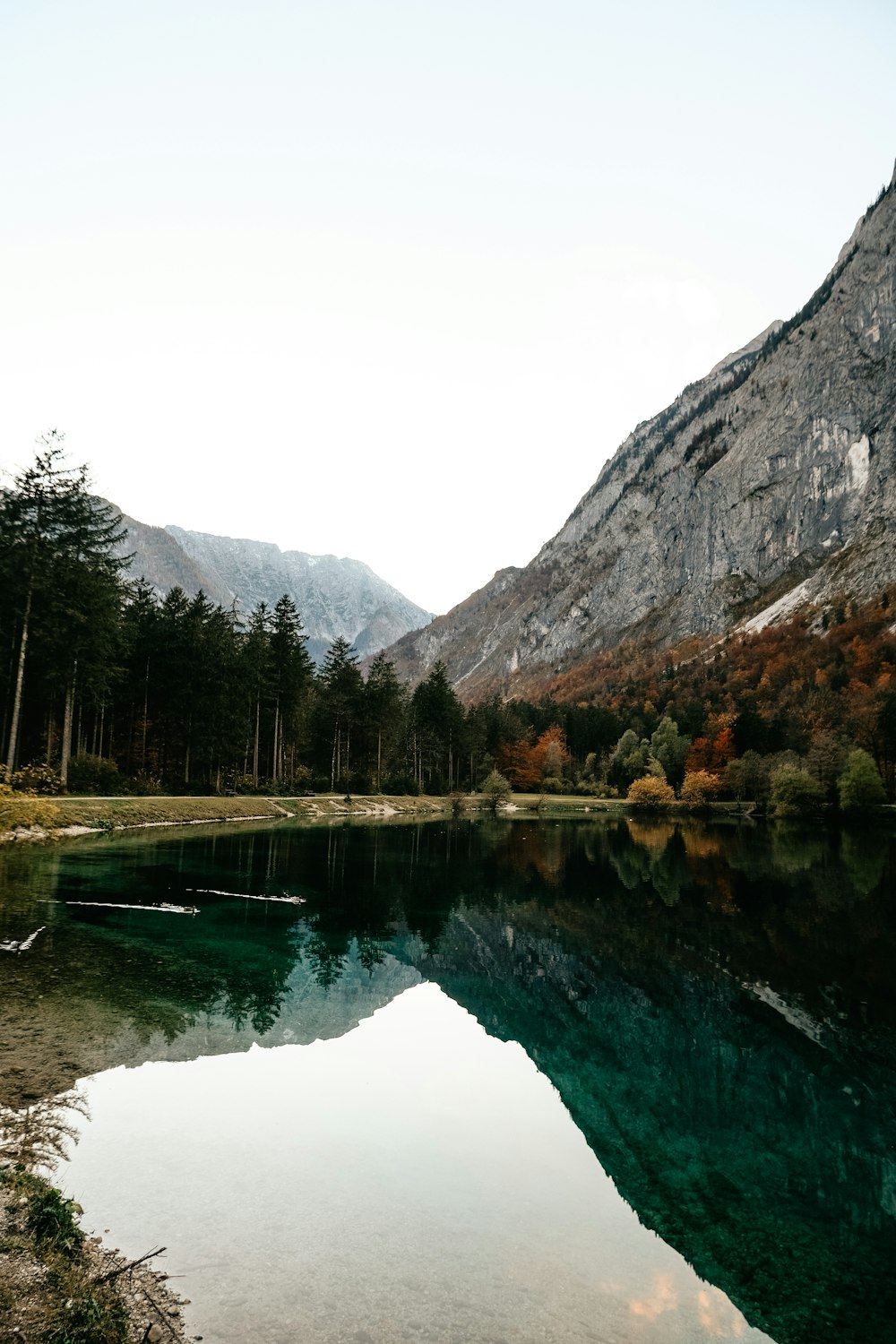 a body of water surrounded by mountains and trees