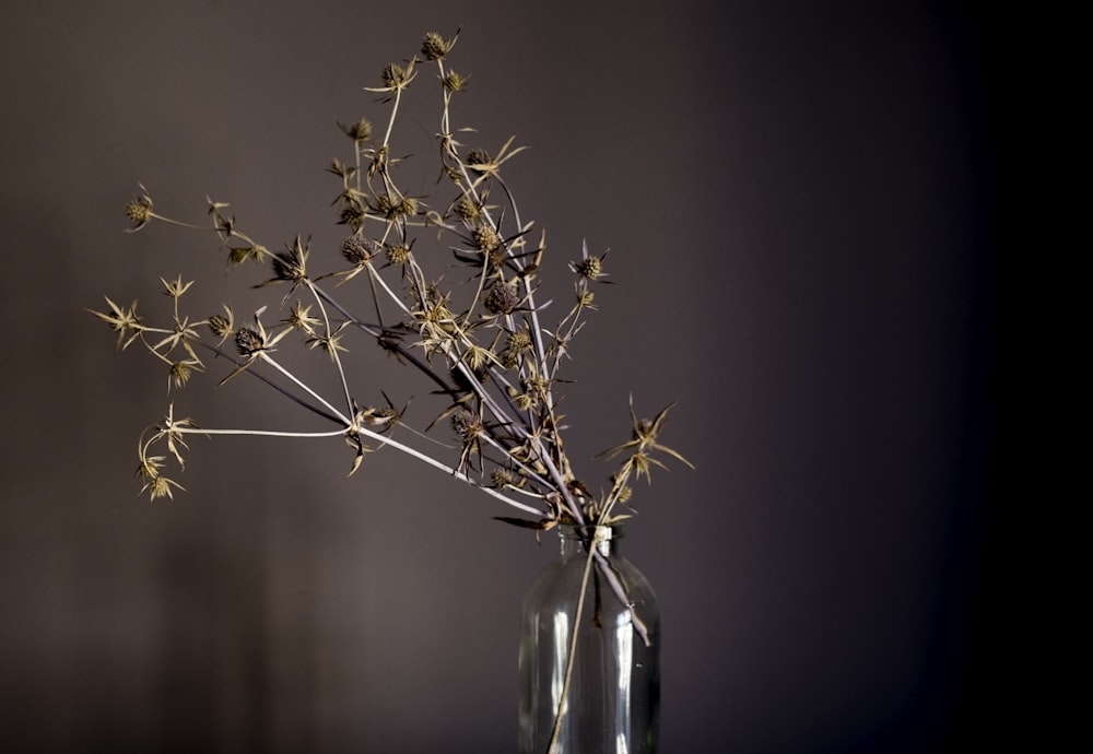 eine mit Blumen gefüllte Glasvase auf einem Tisch