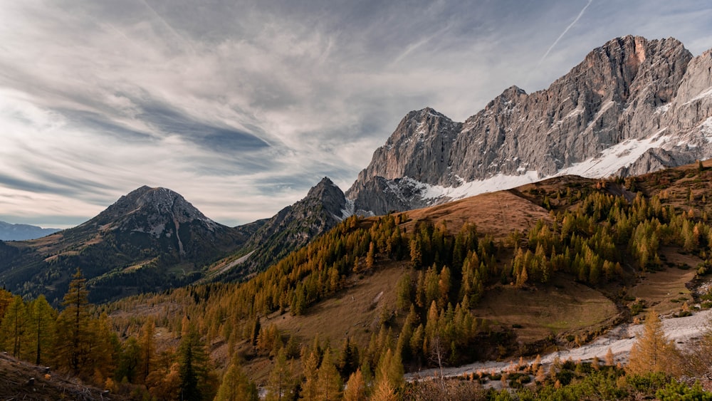 uma vista de uma cordilheira com árvores e montanhas ao fundo