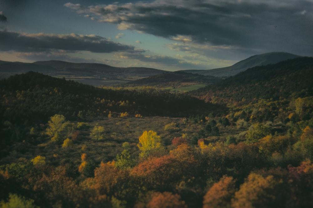 une vue d’une vallée avec des arbres et des montagnes en arrière-plan