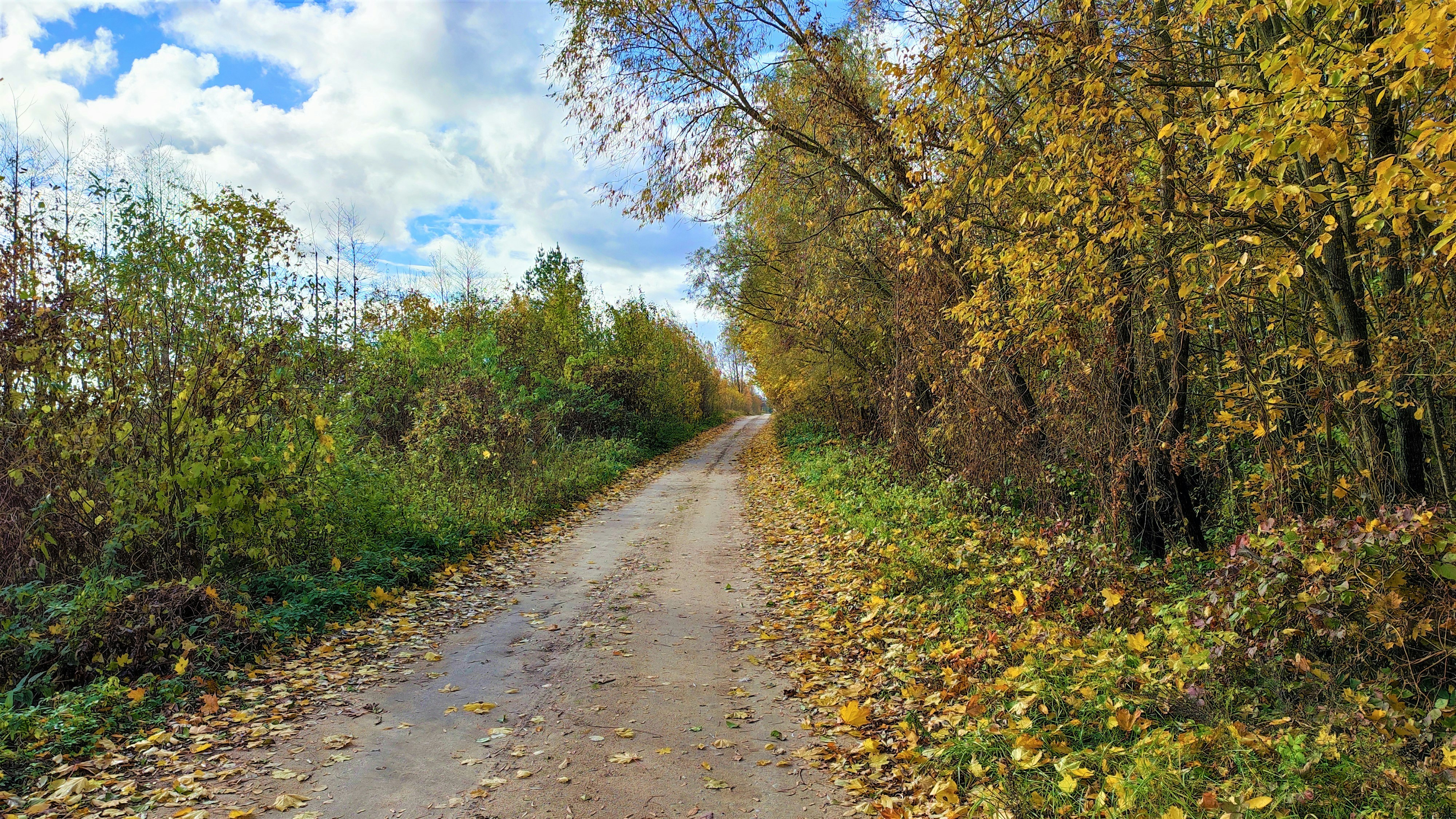 Draugų Desertinė