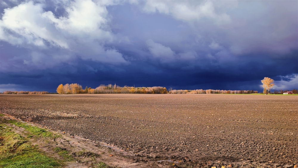 a field with a dirt road and trees in the background