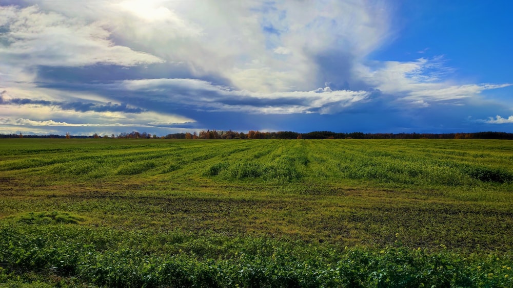 a wide open field under a cloudy blue sky