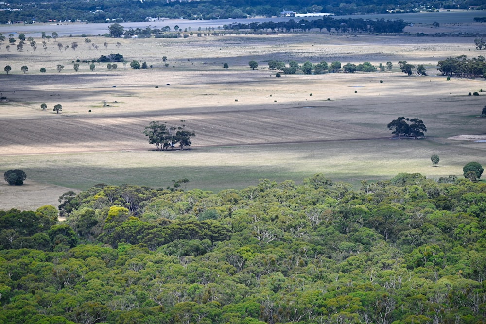 an aerial view of a field with trees in the foreground