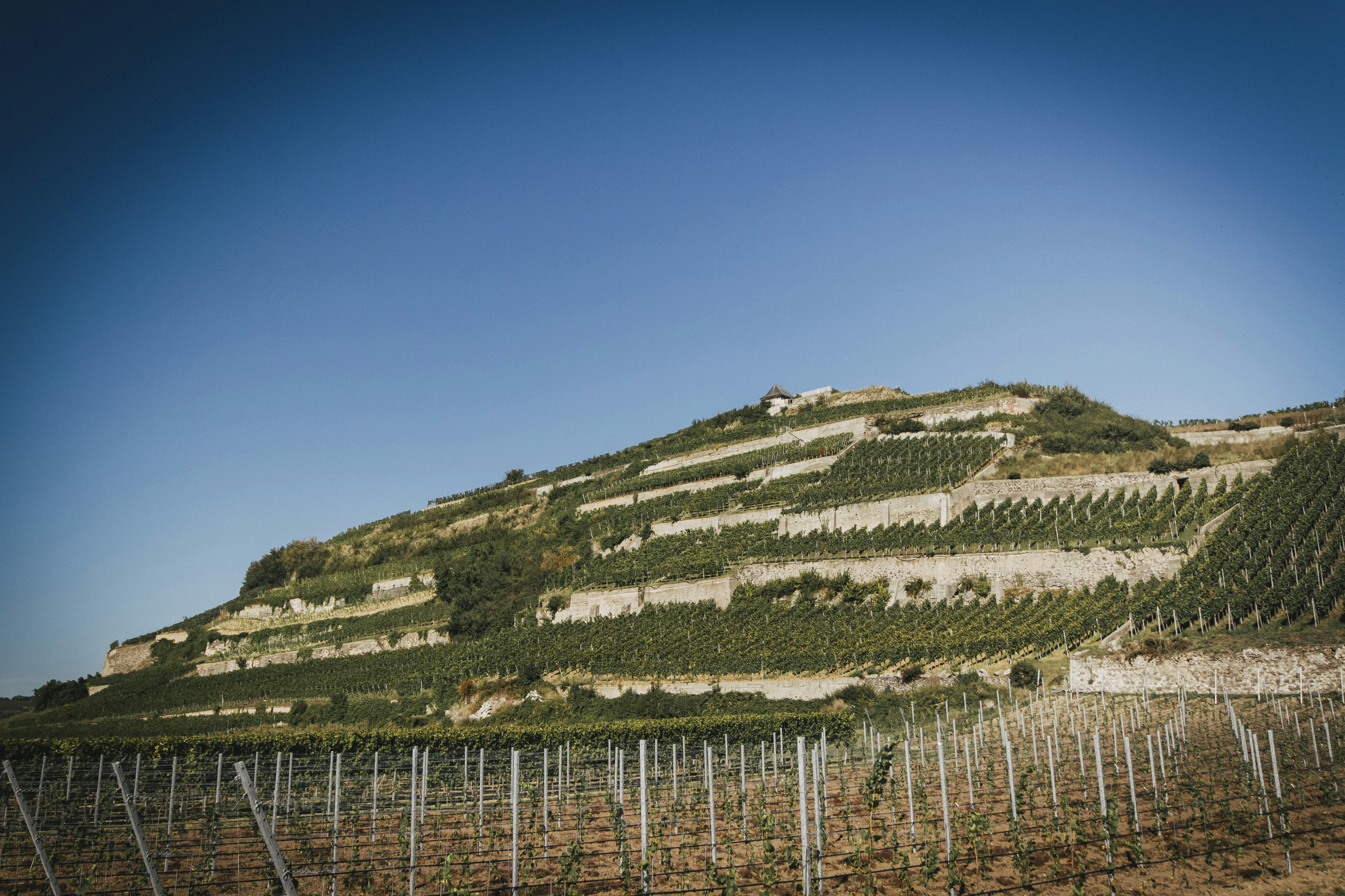 Photo by hs_gestaltung