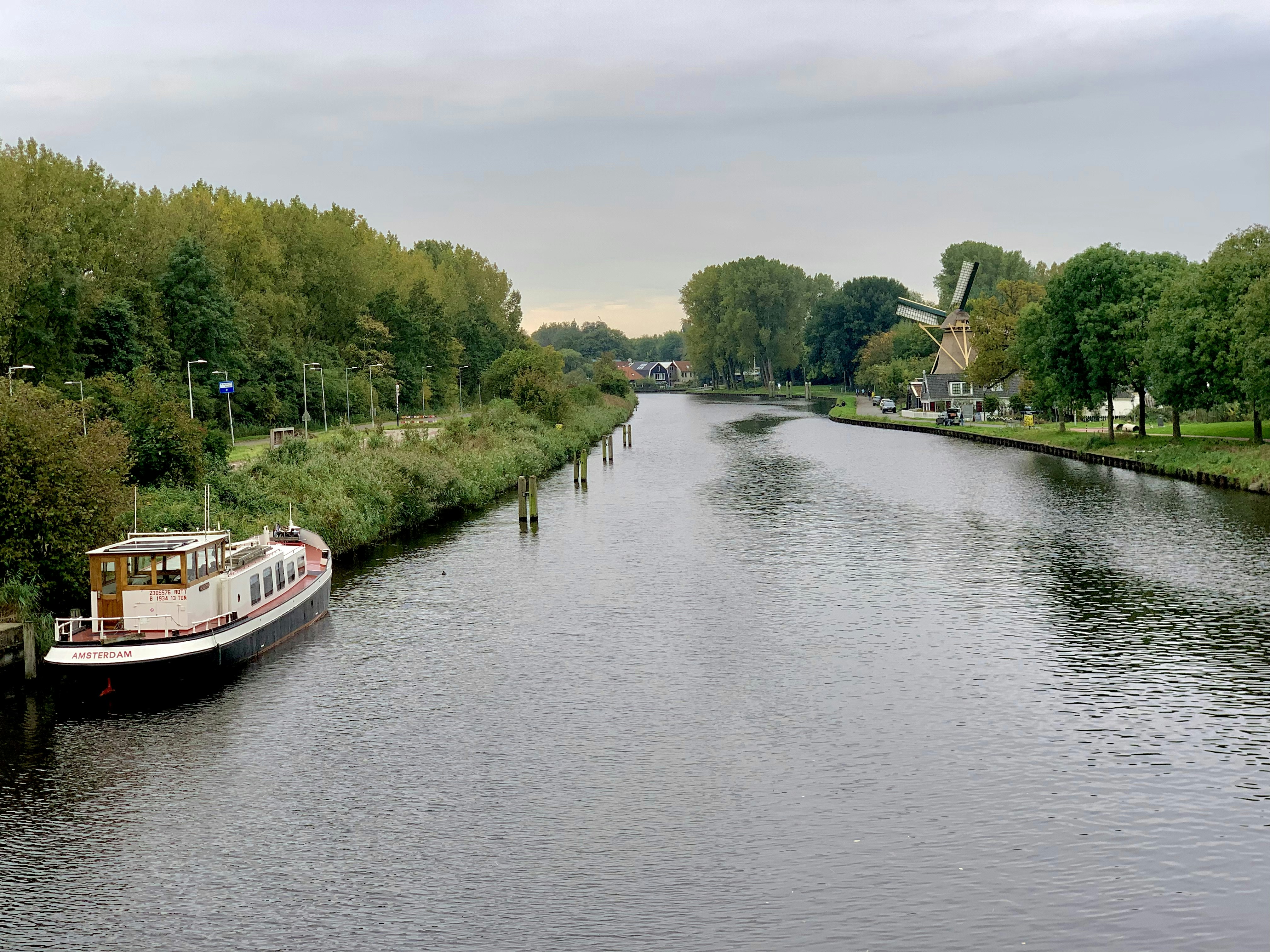 a boat traveling down a river next to a lush green forest, 
