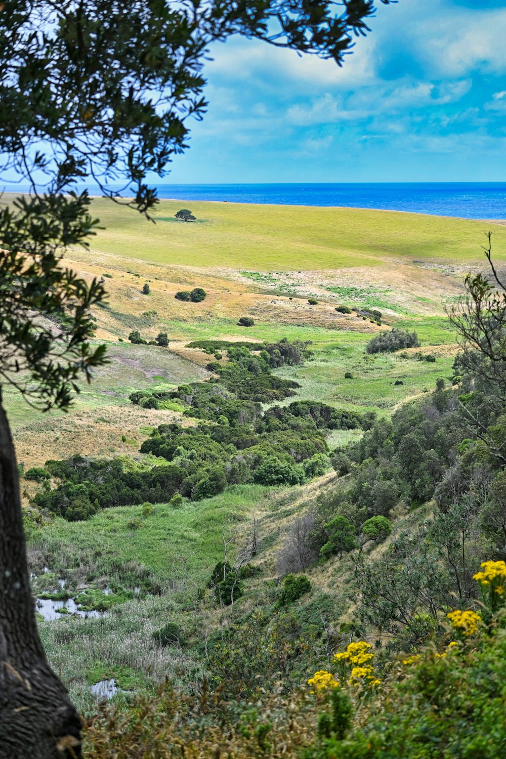 a scenic view of the ocean from a hill