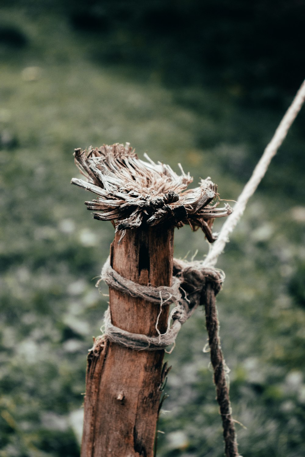 a rope attached to a wooden post in a field