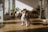 A small dog is sitting in a sunlit room with wooden flooring and various potted plants around. The sunlight casts long shadows, and the room has a bright, airy feel with a few pieces of furniture, including a table and a chair.