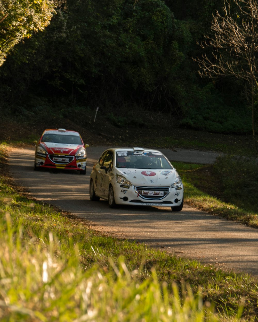 a couple of cars driving down a road next to a forest