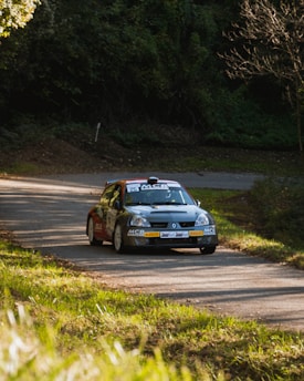 A classic rally car speeding along a winding country road during the Border 100 event.