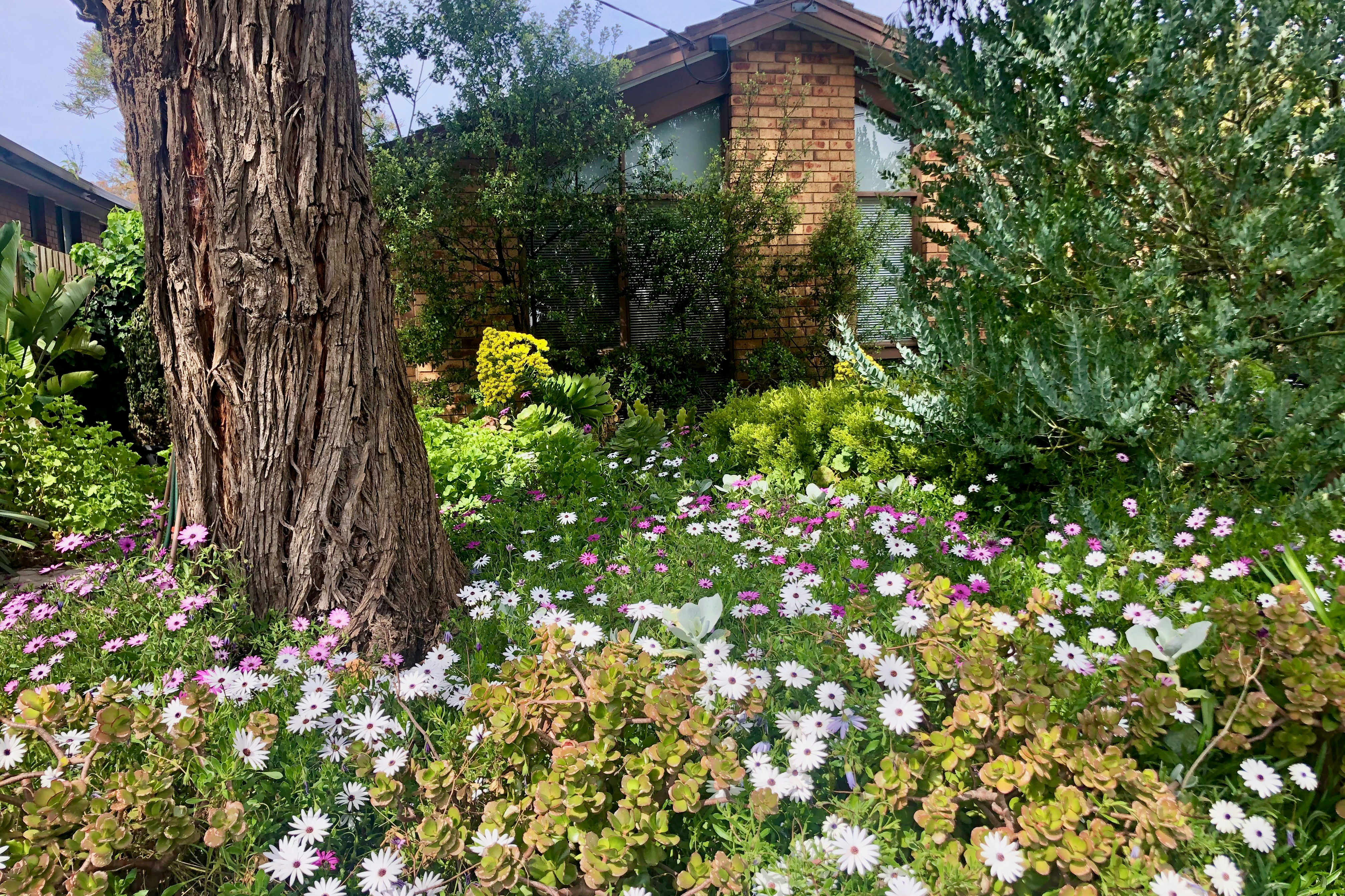 Photo by hunguyen250369