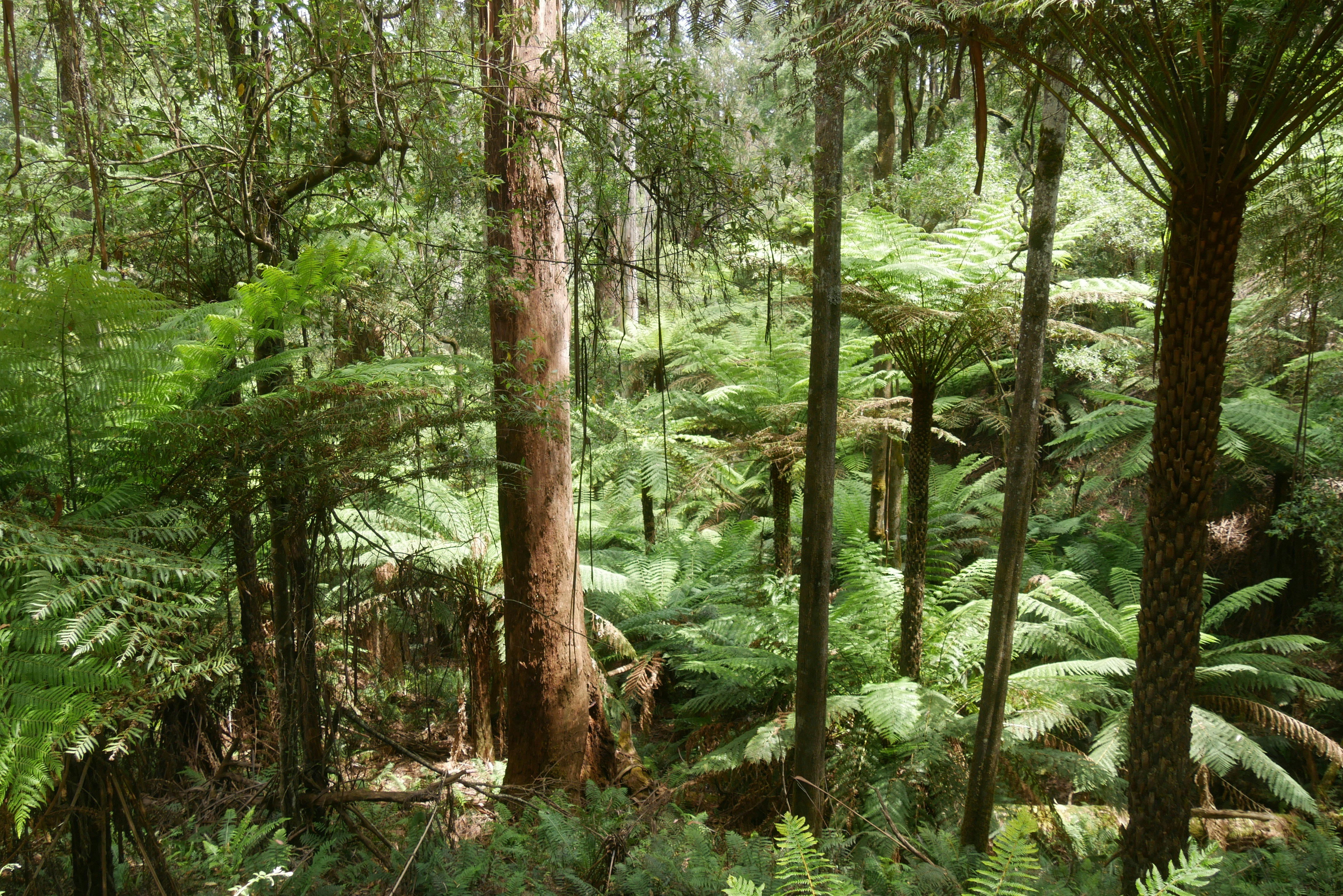 Photo by hunguyen250369