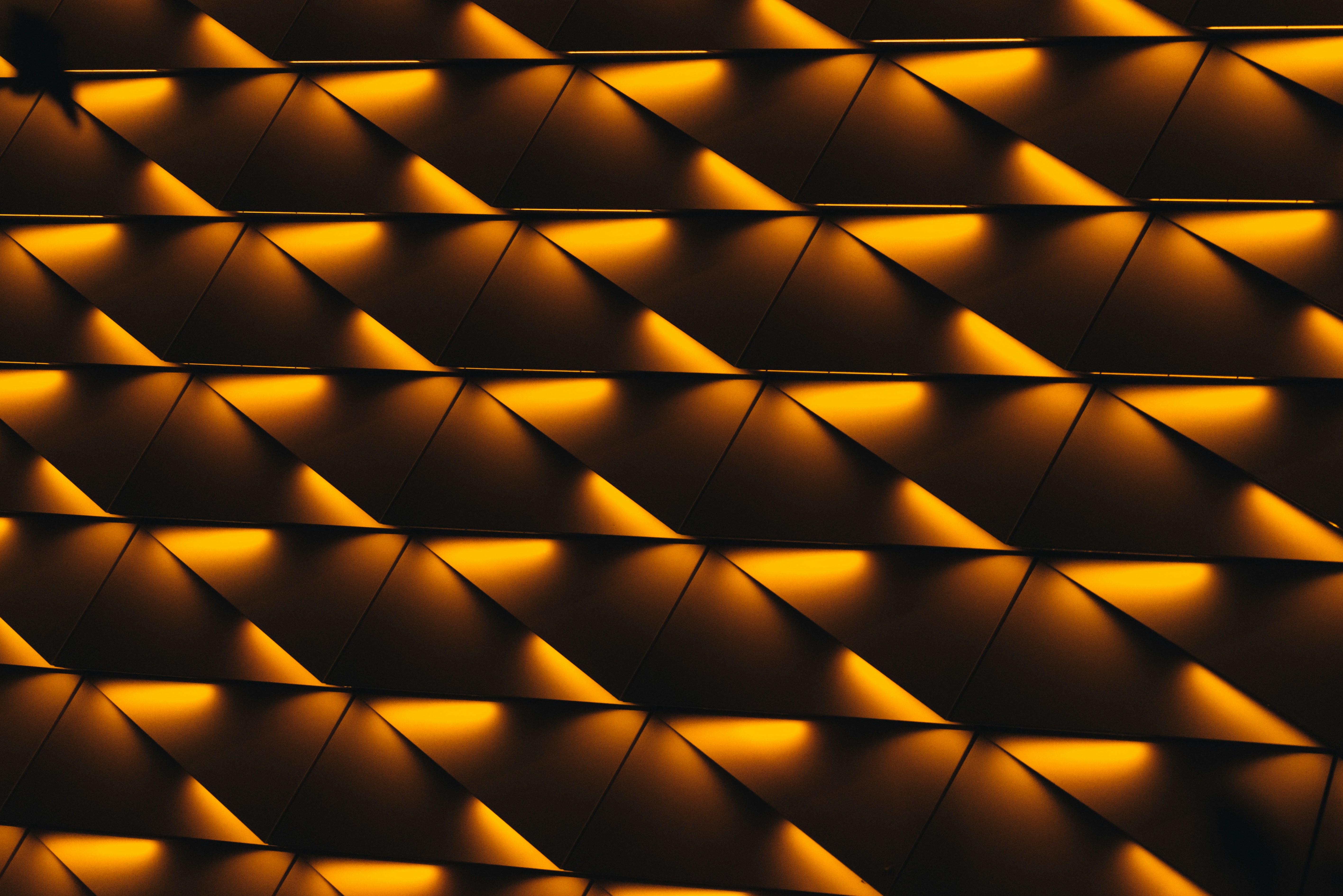 Photo by brotakesphotos