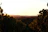 A warm, rustic vineyard landscape at sunset with grapevines and rolling hills in Veneto.