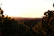 A warm, rustic vineyard landscape at sunset with grapevines and rolling hills in Veneto.