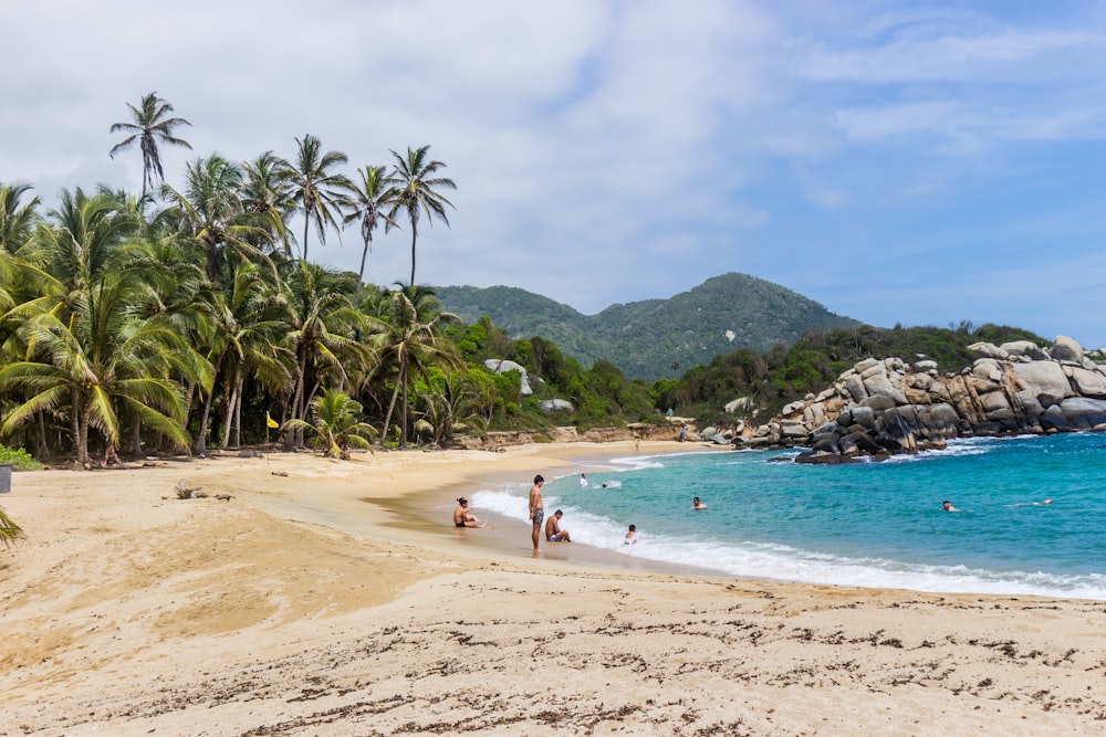 uma praia de areia com palmeiras e pessoas nadando na água