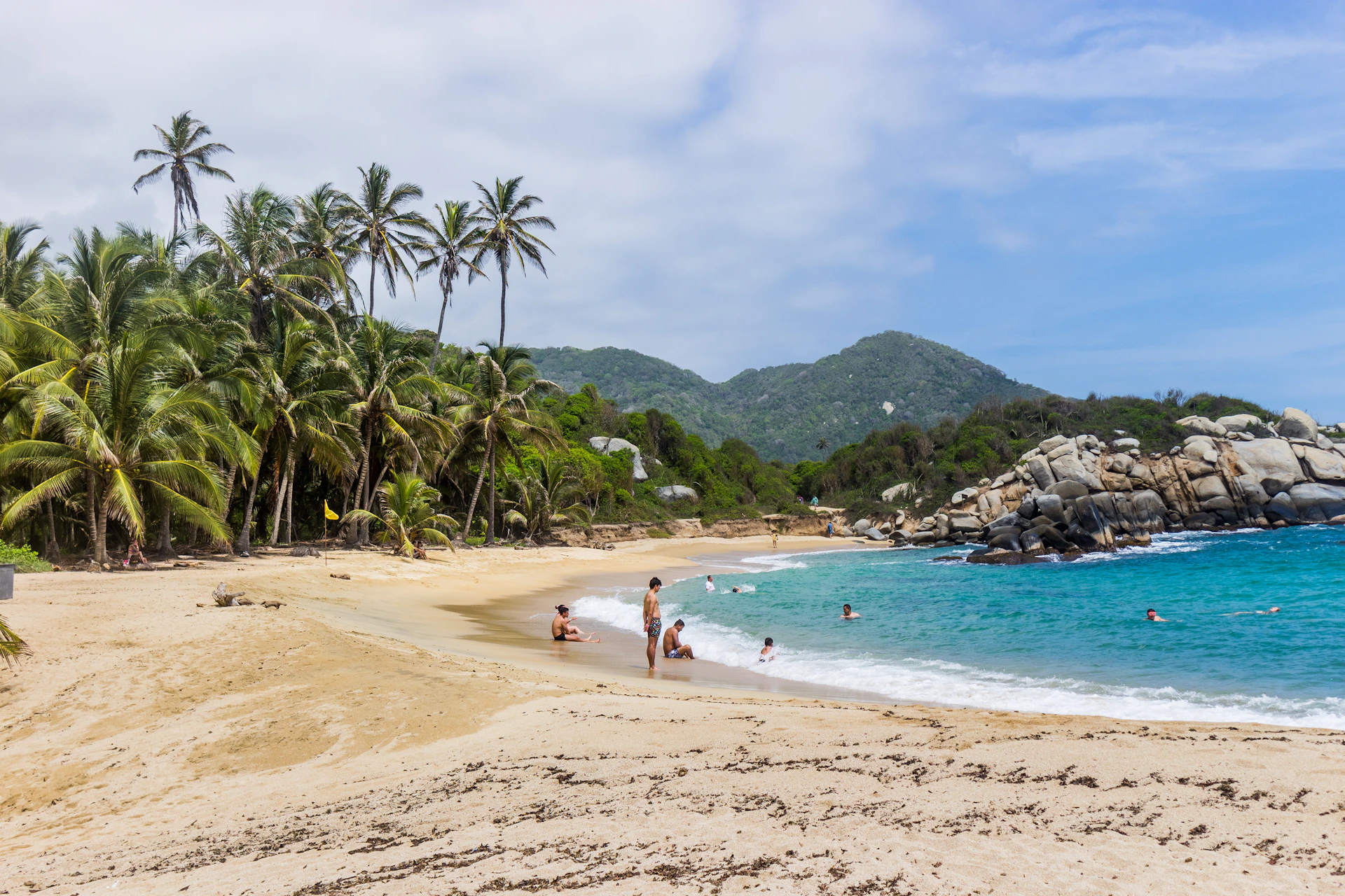 a sandy beach with palm trees and people swimming in the water