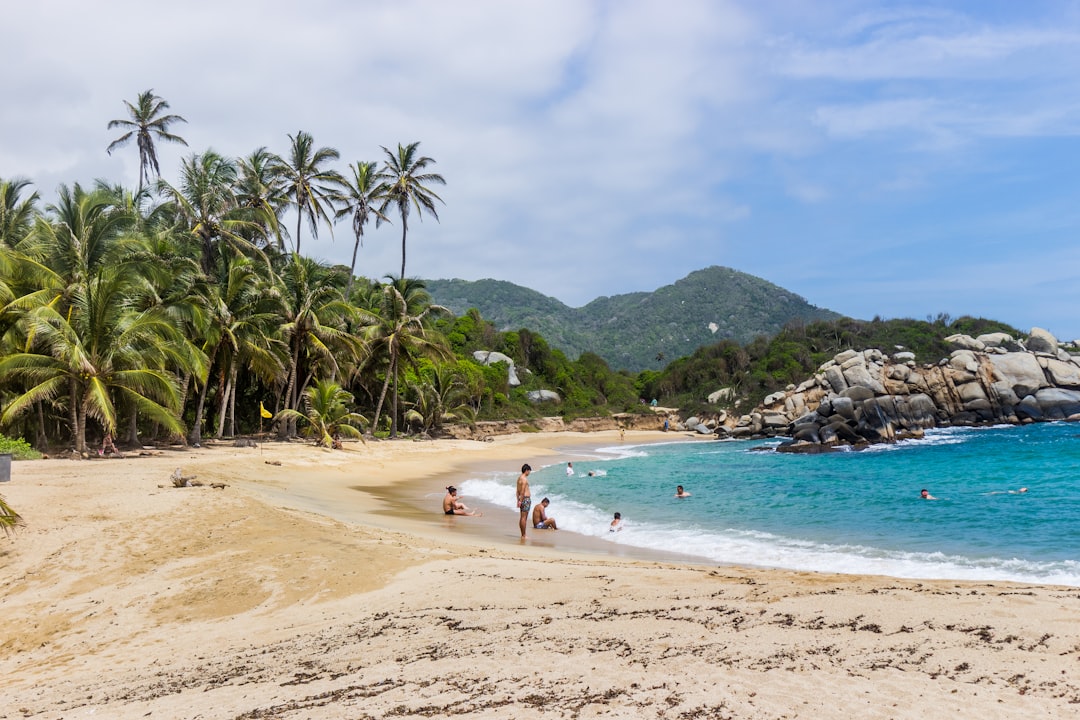a sandy beach with palm trees and people swimming in the water,