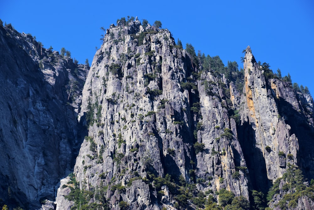 a tall mountain with a lot of trees on top of it