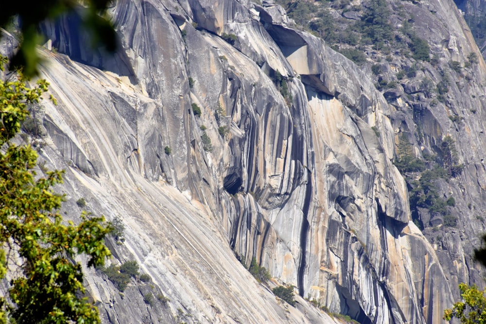 a view of a rock face with trees in the foreground