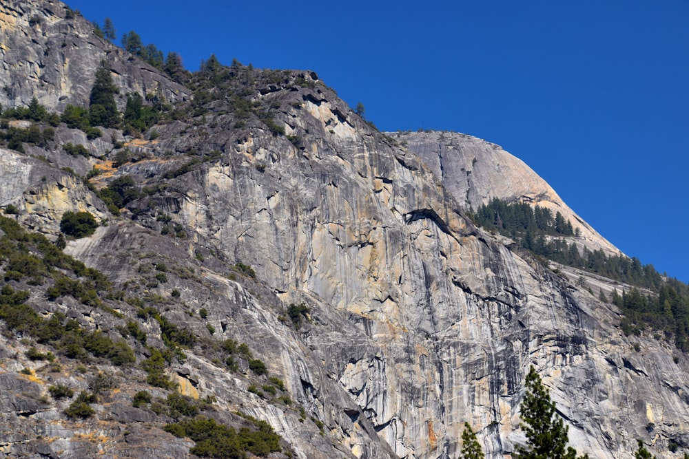 a very tall mountain with some trees on the side