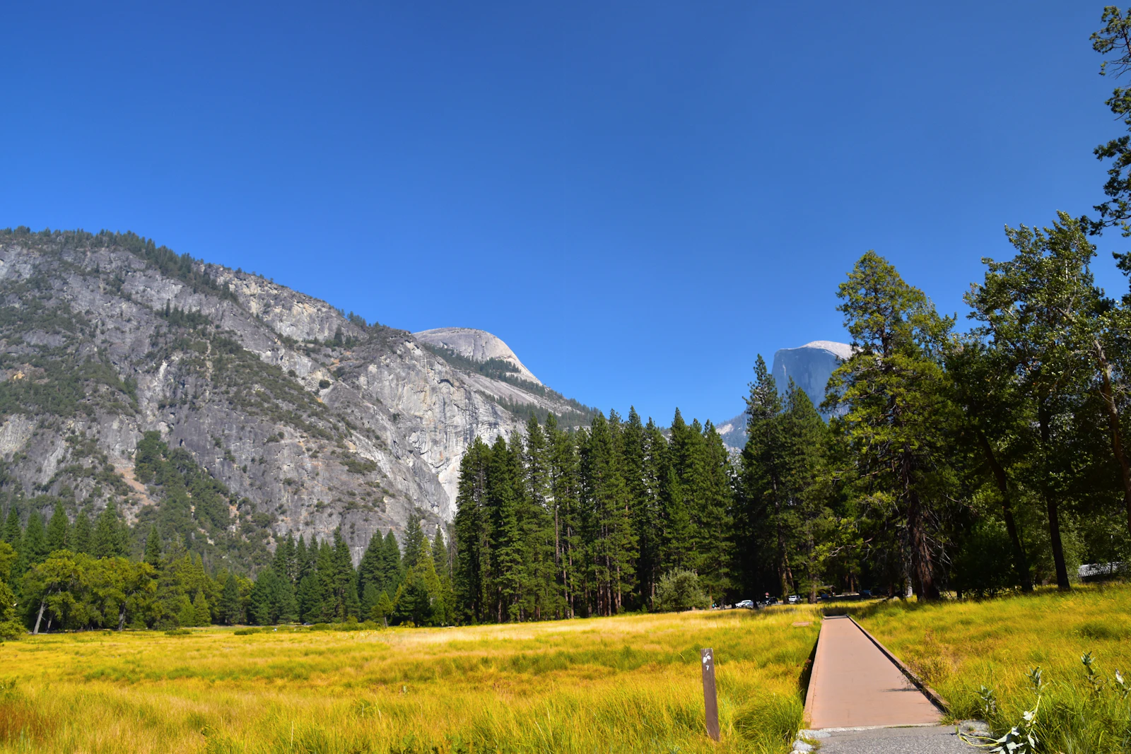 Sentier traversant une prairie de montagne (photo d'illustration)
