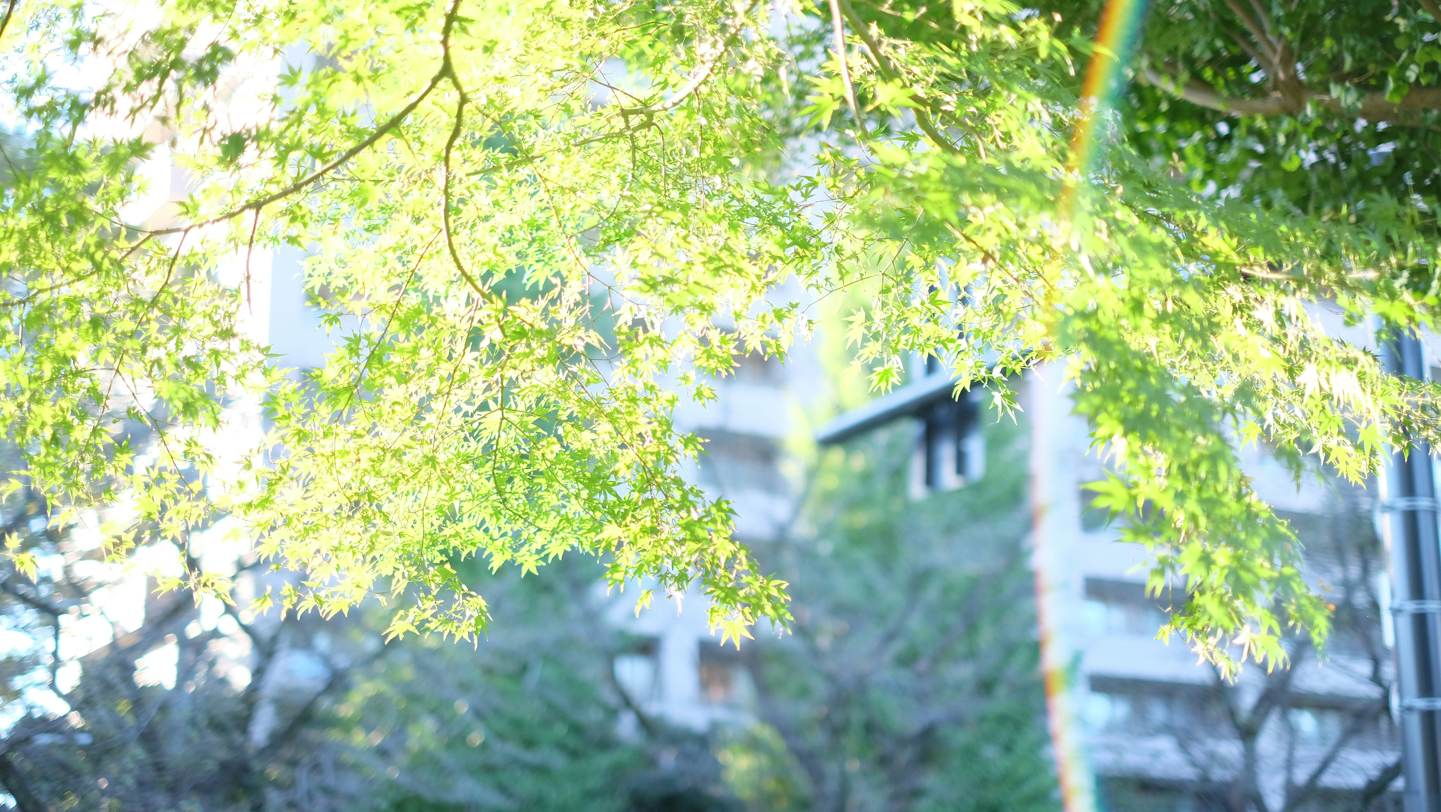 Photo by kiyomishiomura