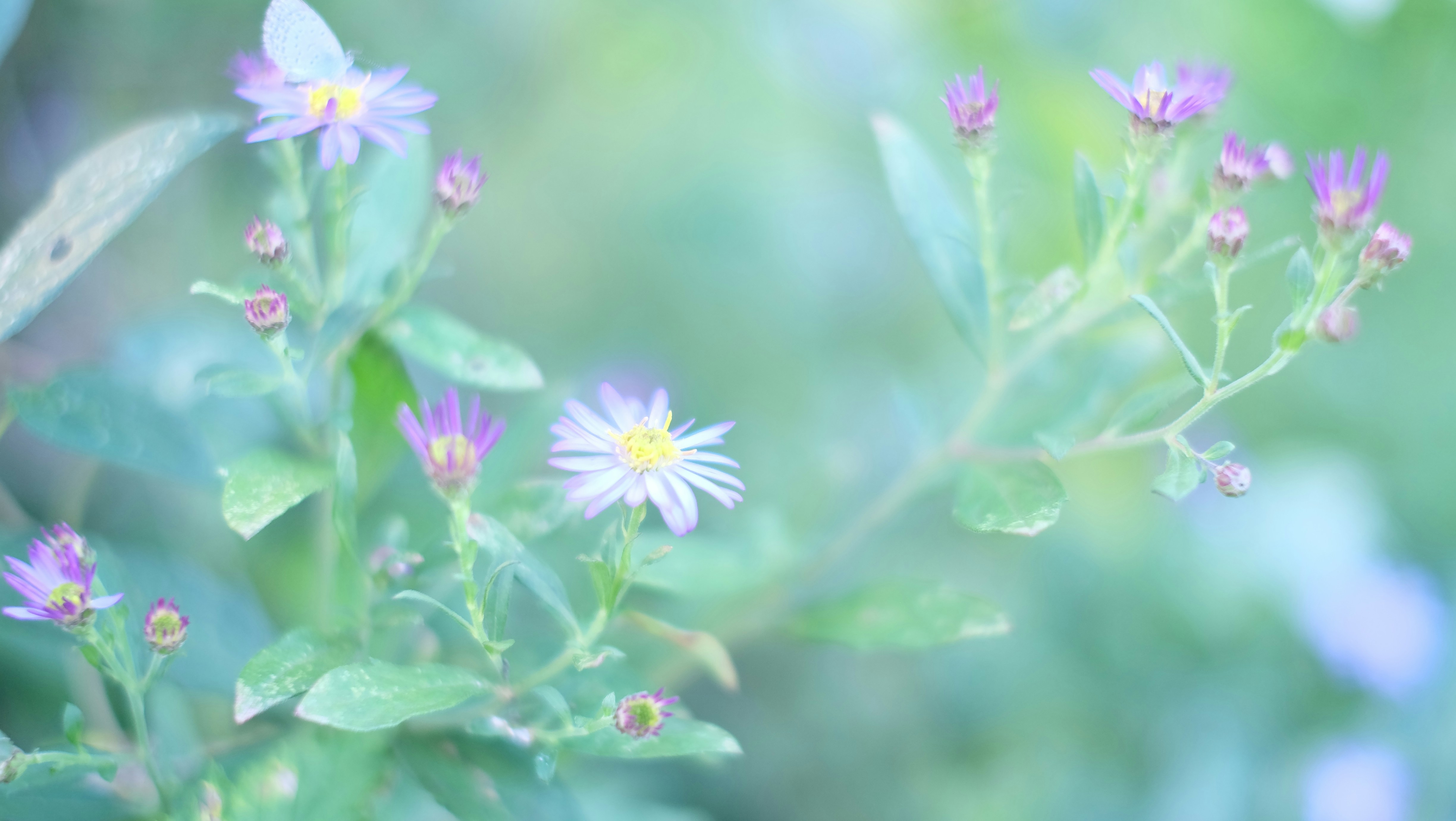 Photo by kiyomishiomura