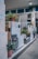 Multiple fuel pumps lined up at a gas station adorned with potted plants. The pumps have colorful nozzles and are positioned under a covered area with overhead lighting. Walls feature signs offering free car washes.