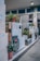 Multiple fuel pumps lined up at a gas station adorned with potted plants. The pumps have colorful nozzles and are positioned under a covered area with overhead lighting. Walls feature signs offering free car washes.