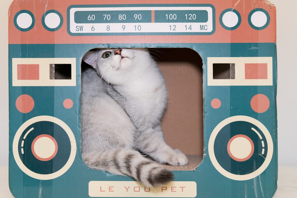 a cat is sitting in a toy radio