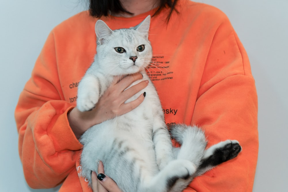 a woman holding a white cat in her arms
