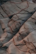 The image features a close-up view of a textured rocky surface. The rock is characterized by intricate, wavy patterns with cracks and lines running through it, giving it an abstract, natural appearance.