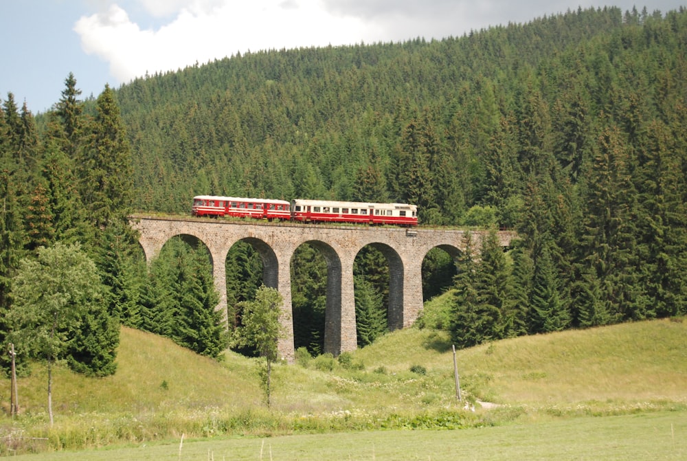 a train traveling over a bridge in the middle of a forest