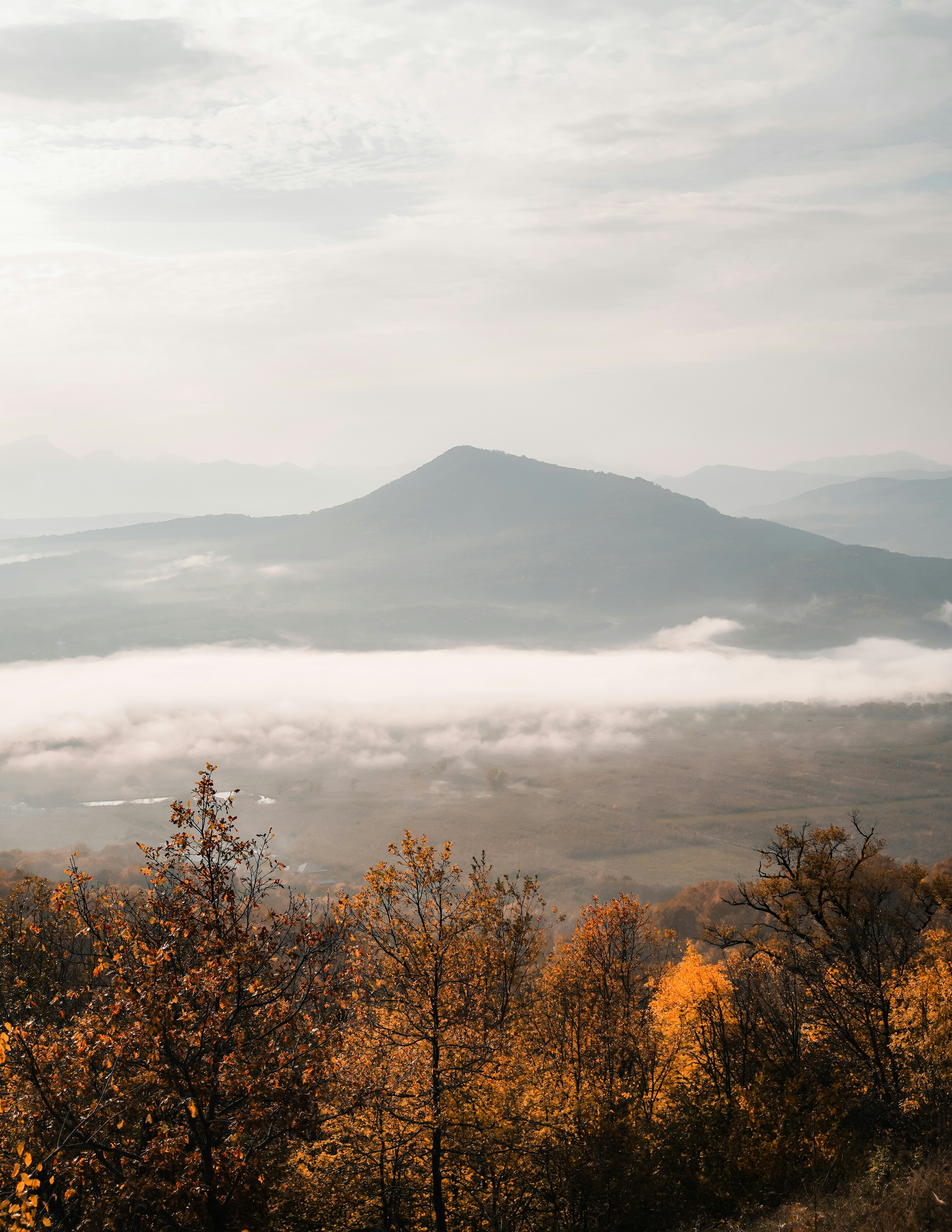 Blick auf eine Bergkette mit Bäumen im Vordergrund