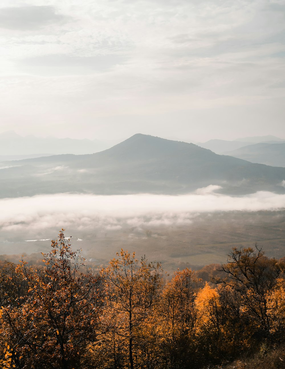 a view of a mountain range with trees in the foreground