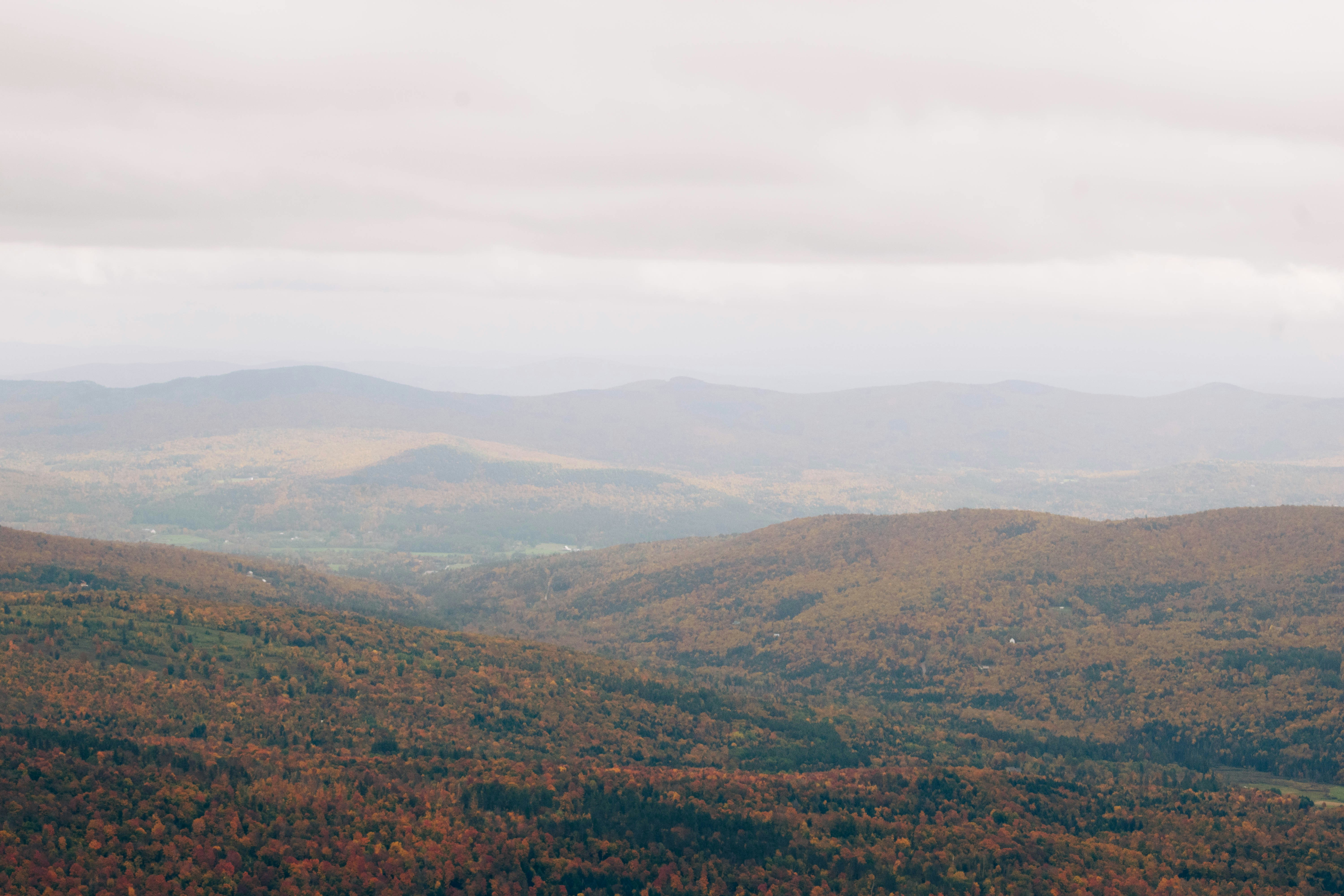 Photo by prateekpisat