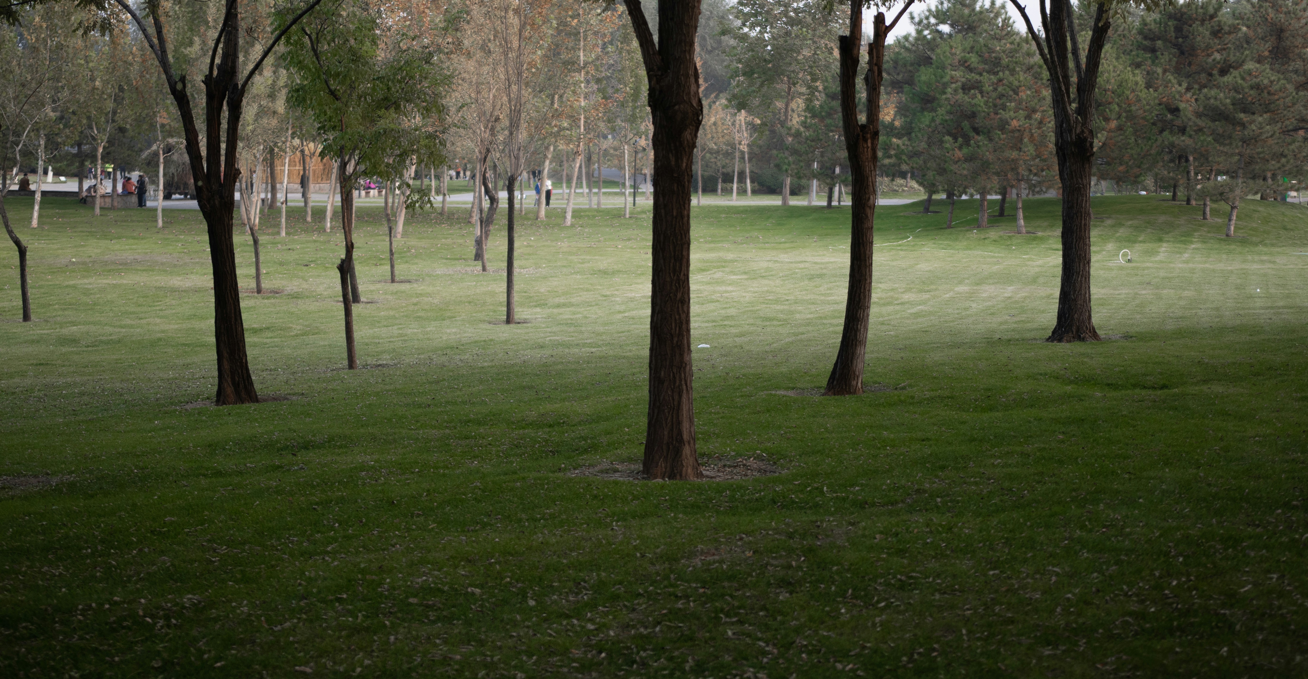 Hanover Park