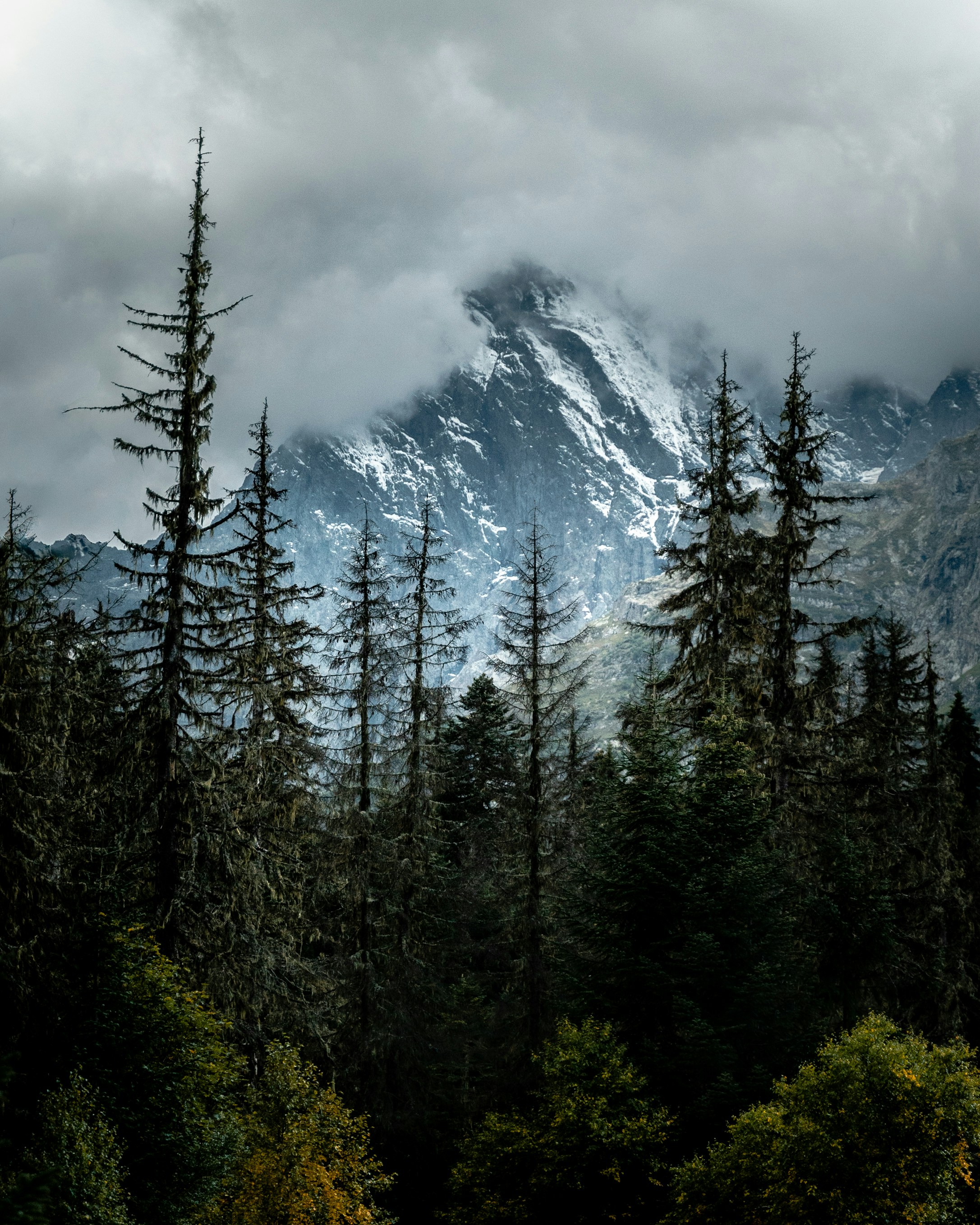 References: The Secret Weapon You're Probably Misusing