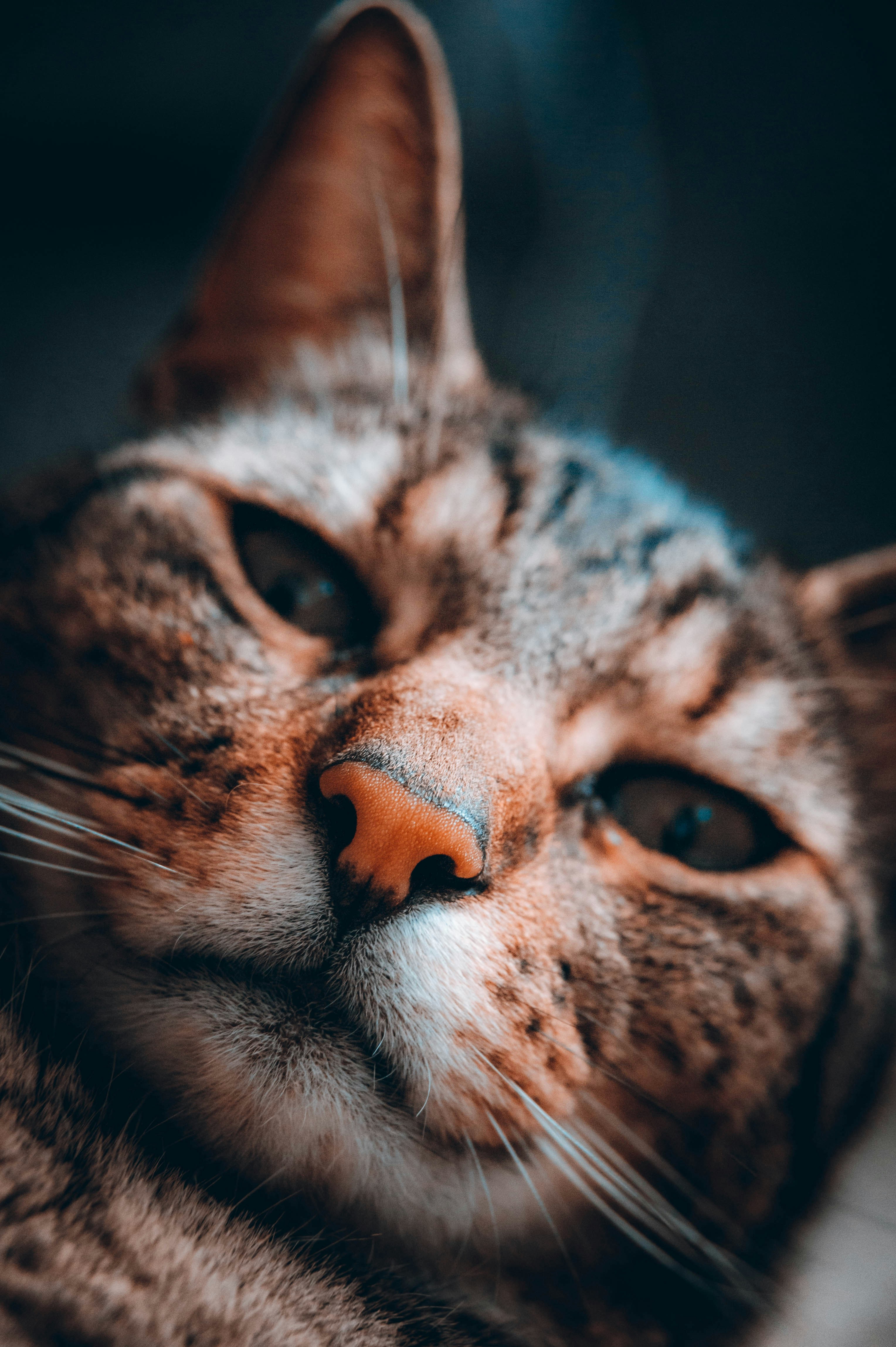 Photo by geikeverniers