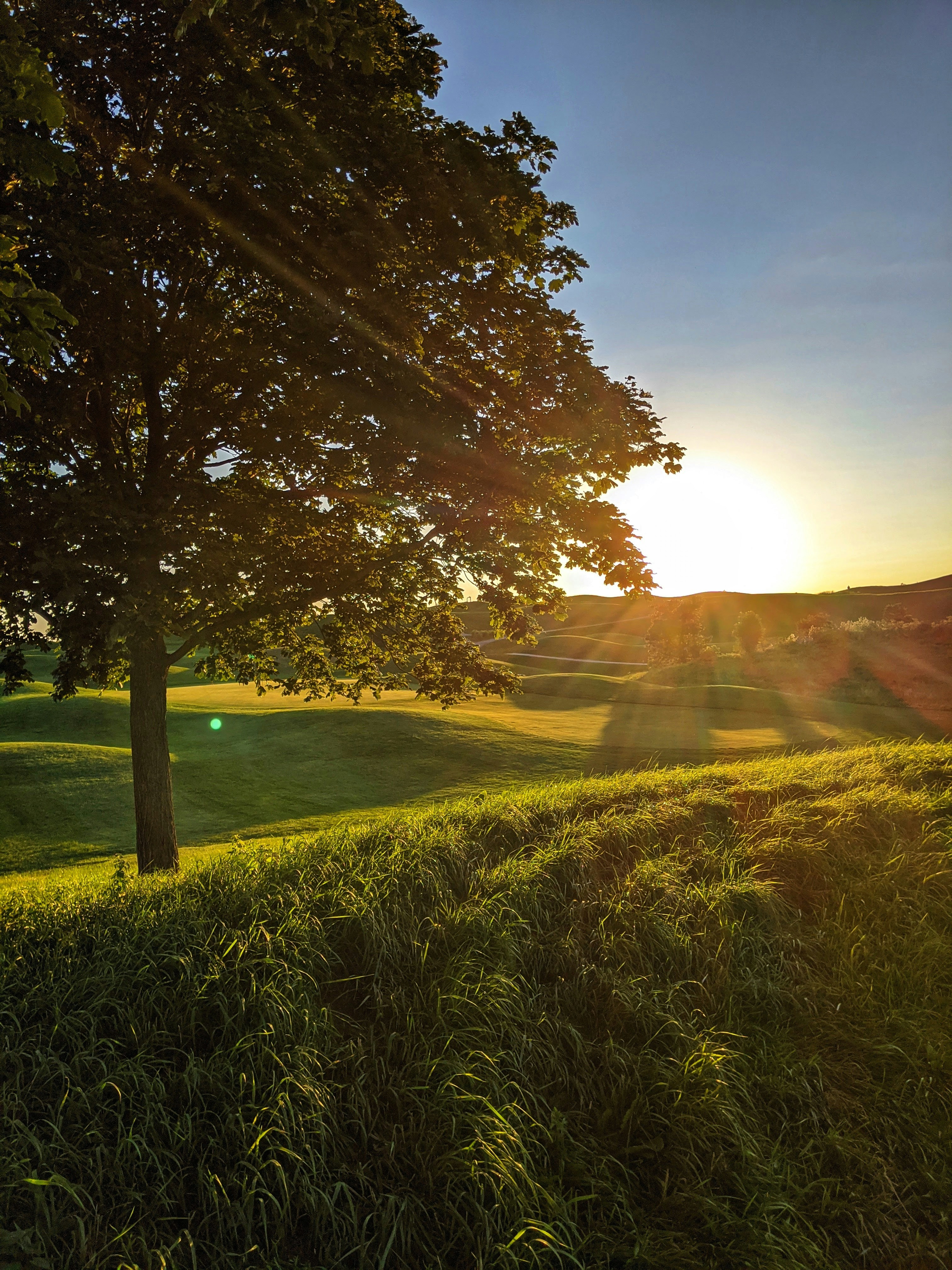 Photo by sidstamatic