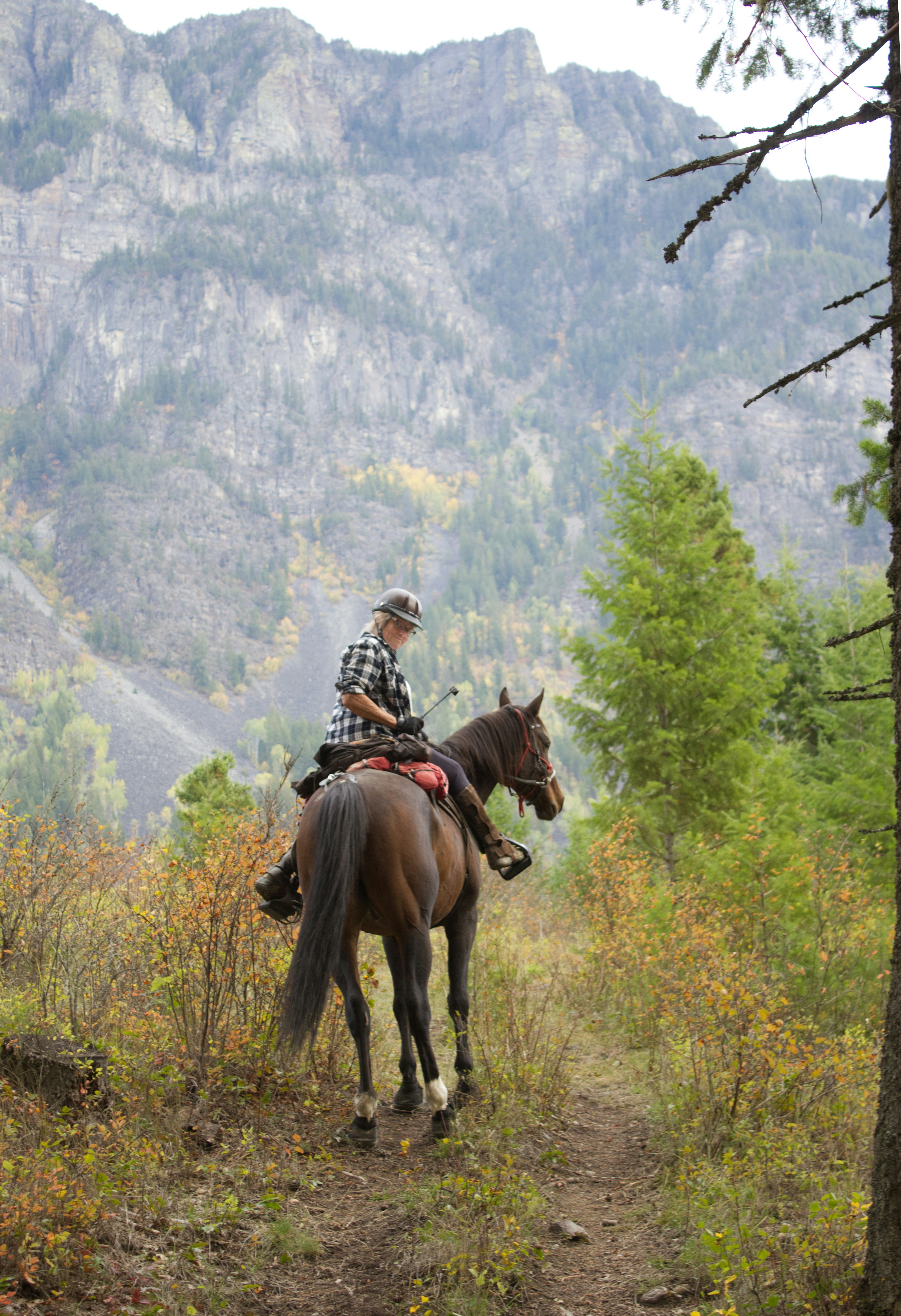 A horse rider going up a mountain trail in British Columbia.
