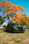 a black BMW X5 parked in front of a tree with orange flowers