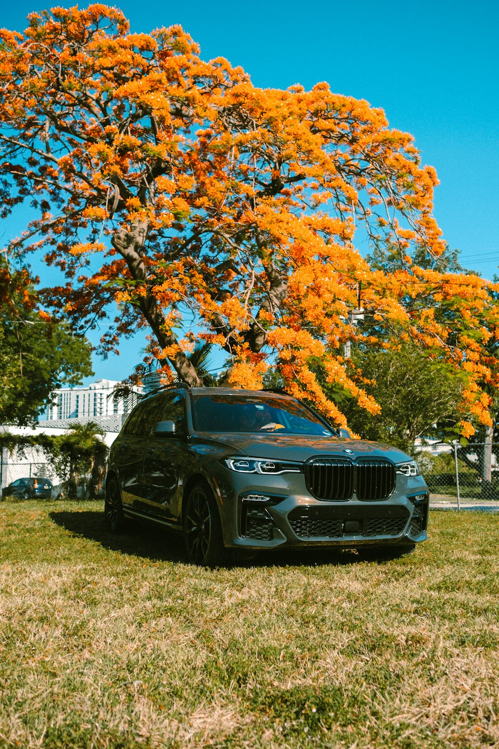 a black car parked in front of a tree with orange flowers